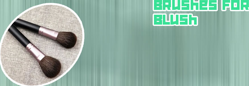 Best cheap blush brush
