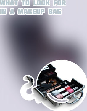 Hard makeup travel case