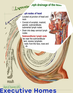 Lymphatic drainage near me
